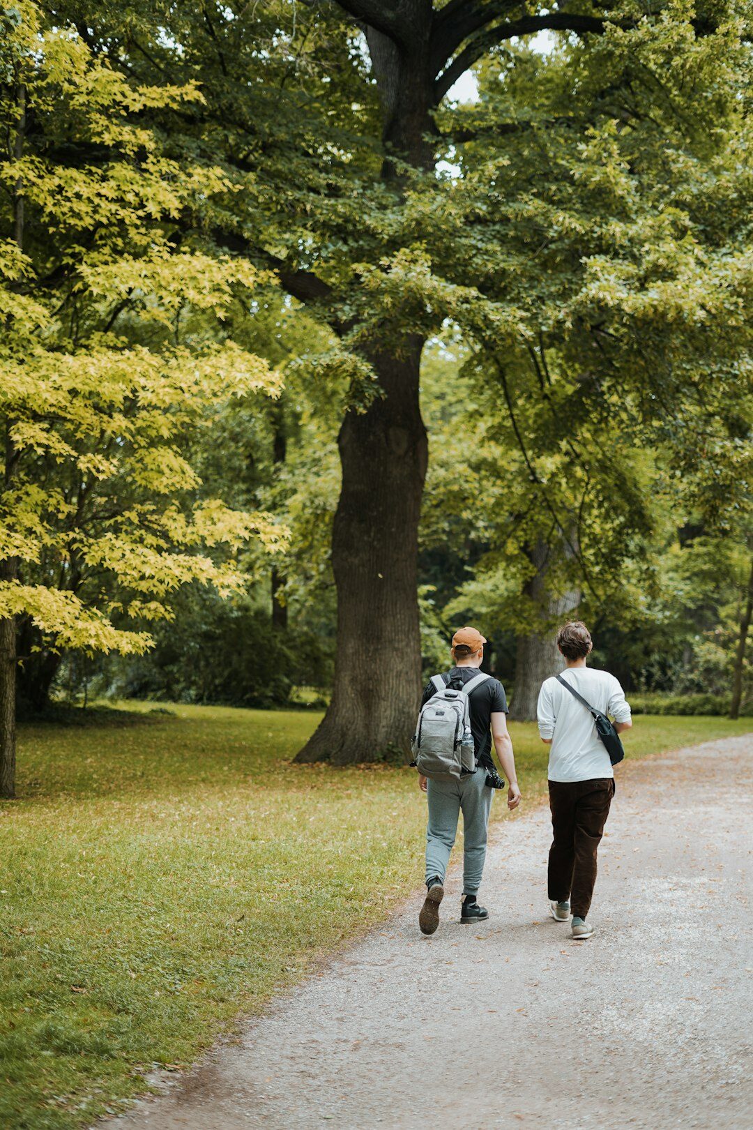 Two people walking and talking outdoors in a park